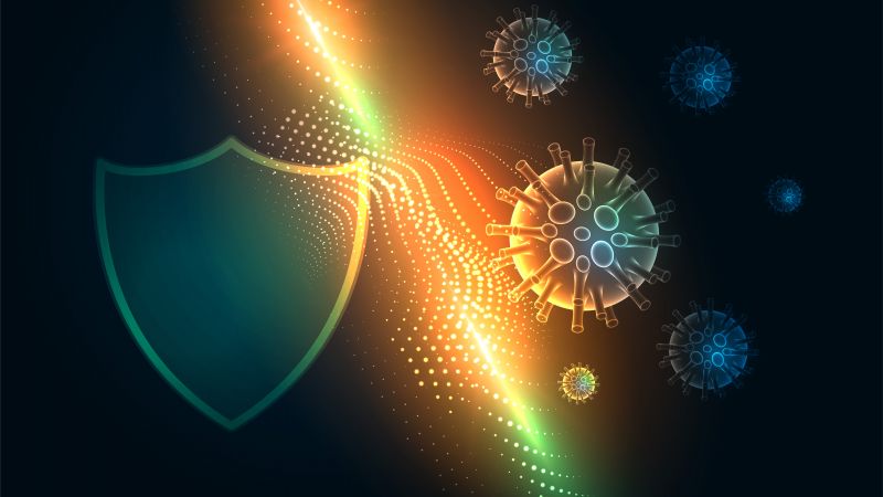 De soldaten van ons immuunsysteem