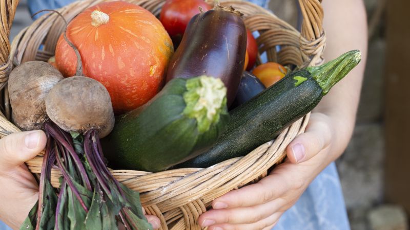 Waarom Market Garden een beeld is van jouw immuunsysteem