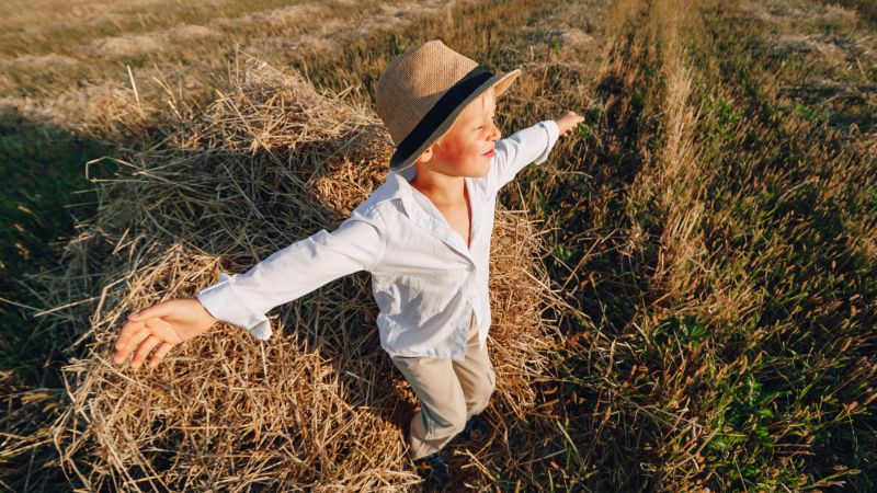 Vier de oogst aan de randen van je akker